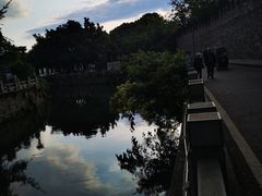 -桂湖森林公园