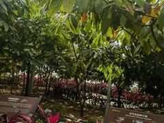 -歌斐颂巧克力小镇