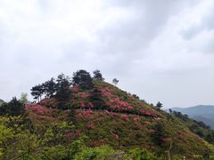 -木兰云雾山