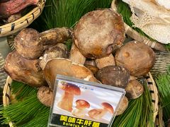 -菌彩云南野生菌火锅(呈贡七彩云南第壹城店)