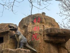 -朝阳公园游乐园