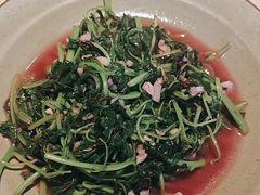-蜀香格格•剁椒鱼头(龙西店)