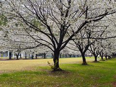 -同济大学(嘉定校区)
