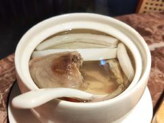 椰皇炖老鸽汤-蕉棠·鸽子餐厅(柳州万象城店)