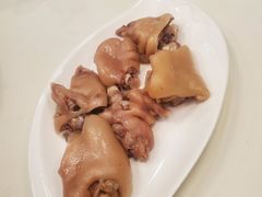 -丁老爷子苏香圆