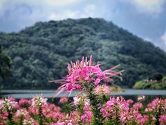 -广州市石门国家森林公园