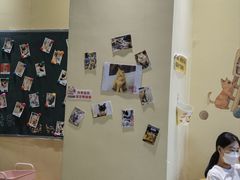 -藏猫猫咖啡主题馆(中央大道店)