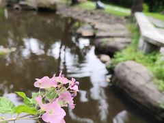 -深圳国际园林花卉博览园