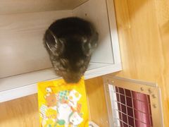 -麦当劳(宾水西道店)