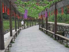 -九龙潭景区