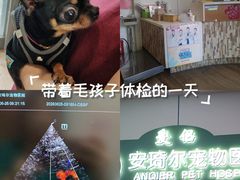 -爱侣·安琦尔宠物医院·中兽医针灸·心内科·狂犬免疫点(宝山区院)