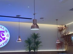 -老板恋上鱼(恒隆广场店)