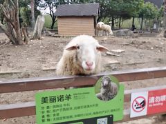 -宁波野生动物园