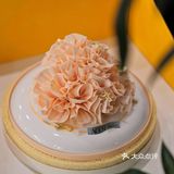 苏州｜高颜值蛋糕🧡亦是礼物‼️好吃又好看