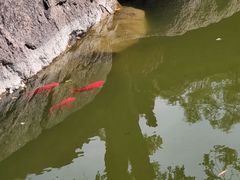 -榆次老城