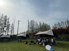 -前小桔亲子创意农场·草莓采摘·露营烧烤