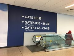 -约翰·菲茨杰拉德·肯尼迪国际机场