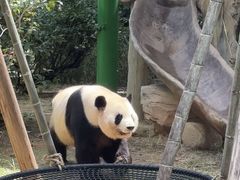 -灵玲国际马戏城