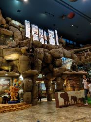 -卡通尼·Safari非洲探索乐园·生日会(金桥国际商业广场店)