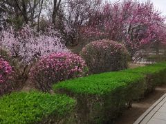 -满都海公园