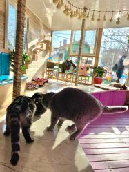 -萌宠亲子动物乐园(槐房万达店)