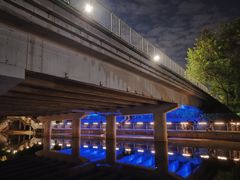 -福田红树林生态公园
