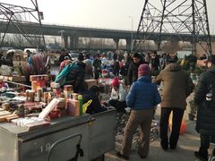 -中环花鸟鱼虫市场