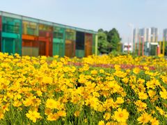 -白塘生态植物园