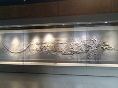 -安徽省地质博物馆