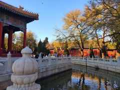 -北京国子监胡同