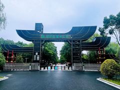 -溱湖国家湿地公园