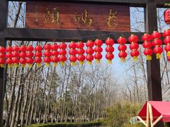 -合肥滨湖国家森林公园