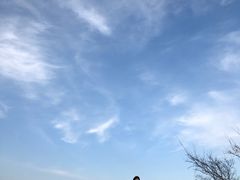-紫金山天文台