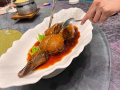-丁老爷子苏香圆