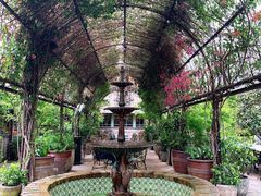 -The Grounds of Alexandria