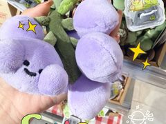 -Olé精品超市(苏州中心店)