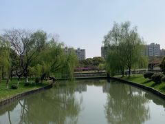 -中央公园(苏州工业园区)