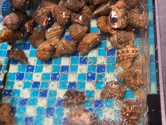 -映像威海·海鲜味道(市区店)