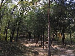 -北京鹫峰国家森林公园