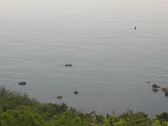 -燕窝岭