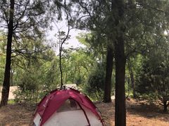 -阳台山自然风景区