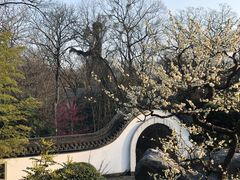 -杭州植物园
