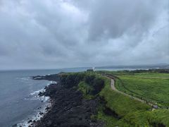 -涉地可支