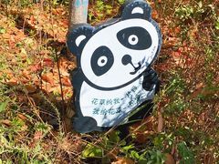 -回龙观体育文化公园