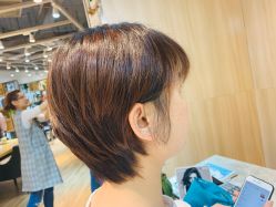 -曼都发型·臻选