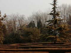 -黄村公园