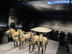 -秦始皇帝陵博物院-丽山园