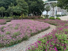 -文华公园(禅城区)