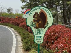 -南京枫彩漫城