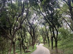 -燕晗山郊野公园